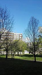 Ostarva