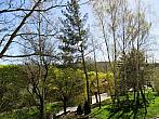 Borovina