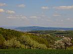 Kvasice