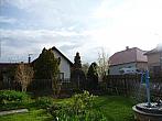 Třibřichy