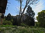 Borovina