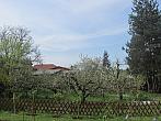 Neratovice