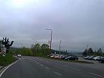 Borovina