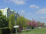 Neratovice