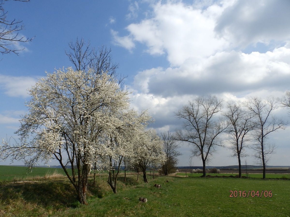 Dětenice-Brodek