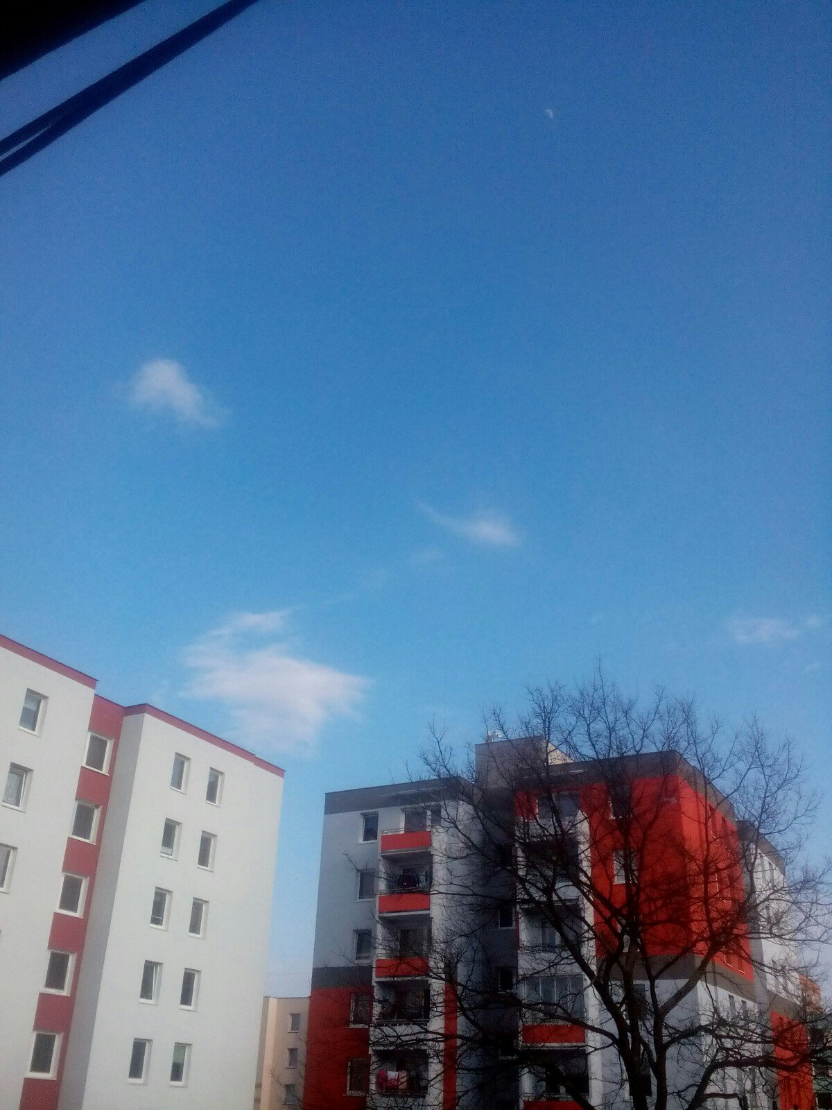 Vodňany