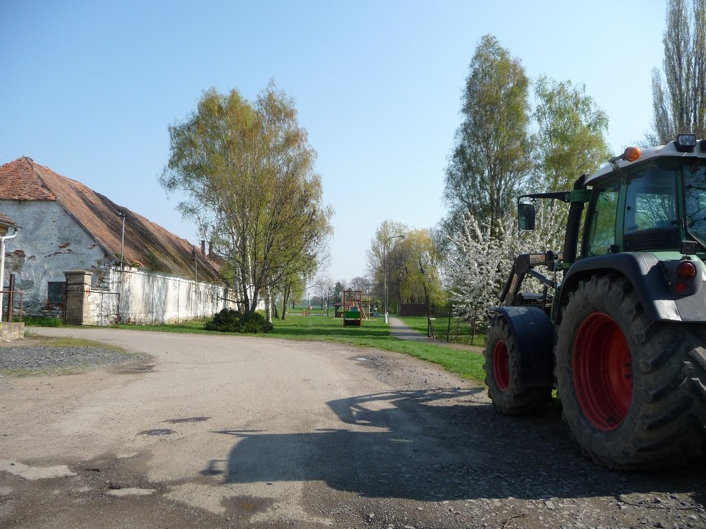 Třibřichy