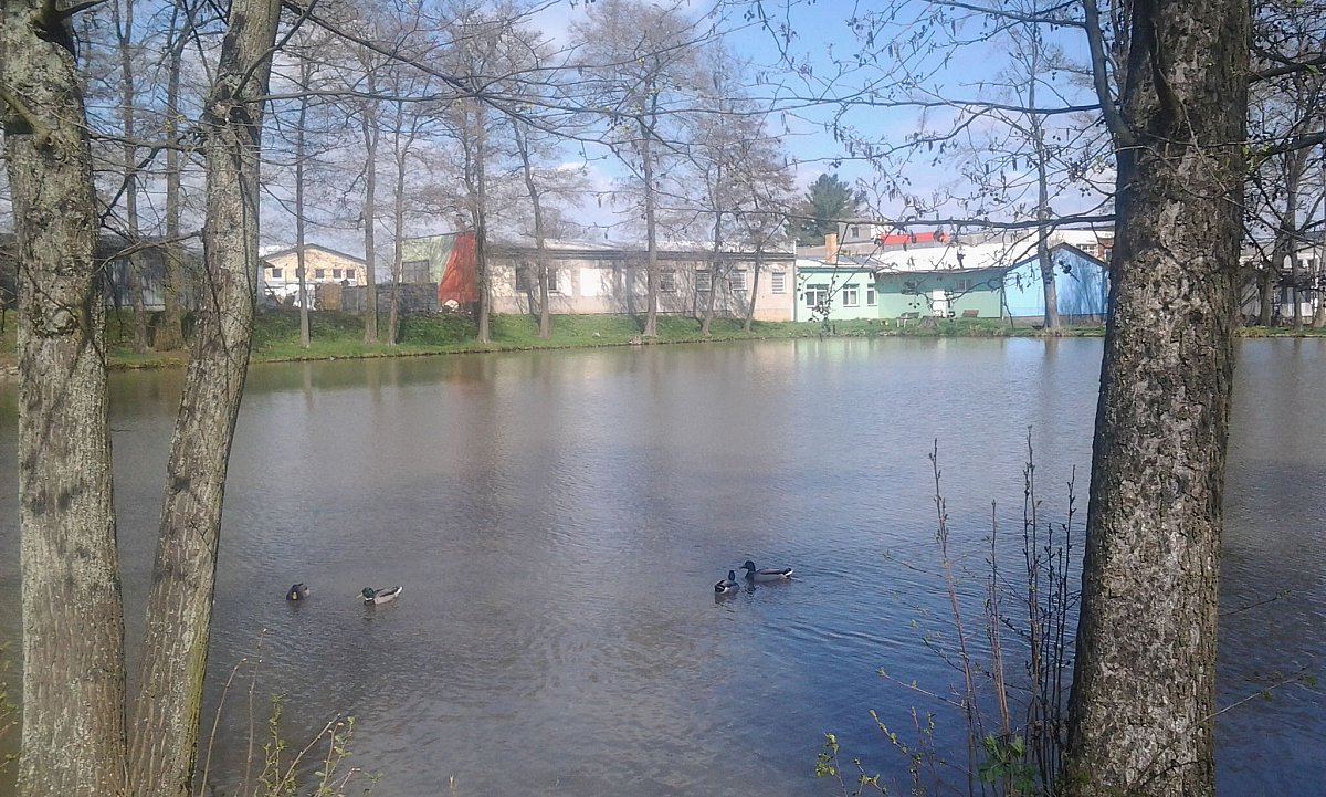Humpolec