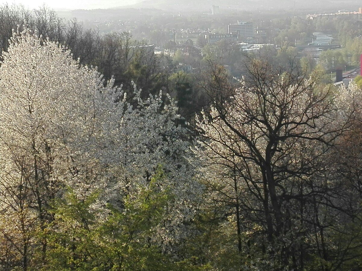 Frýdek-Místek