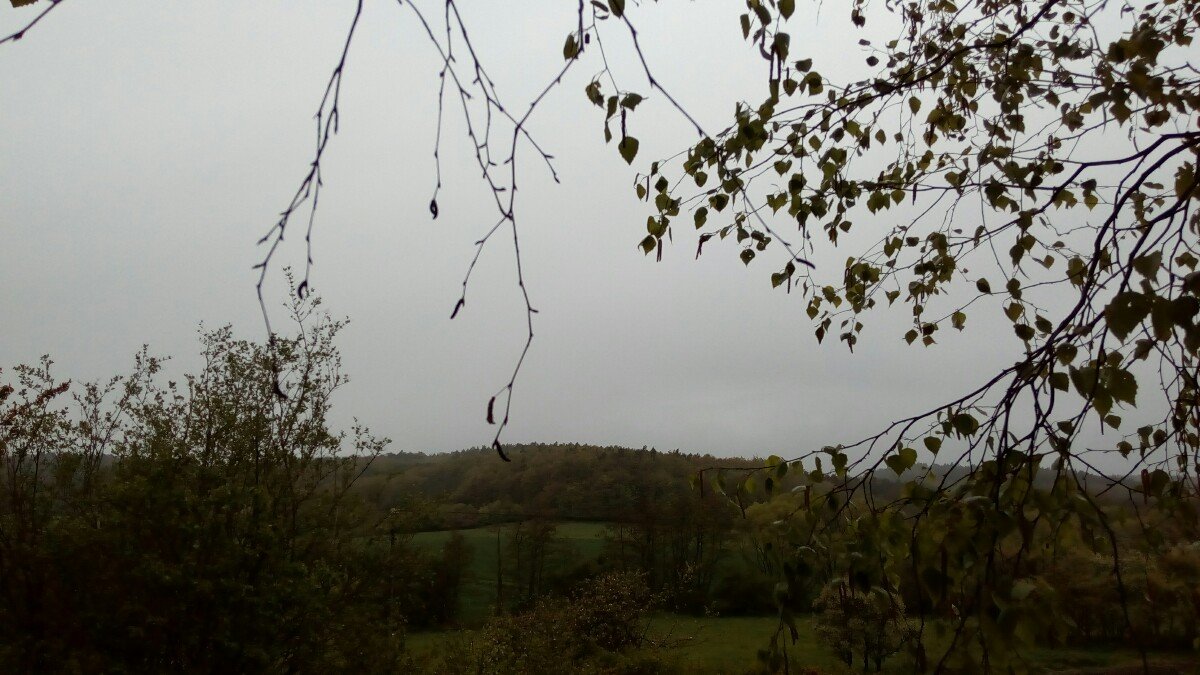 Habrovany