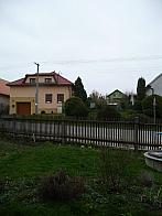 Třibřichy