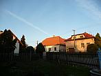 Třibřichy