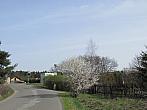 Neratovice