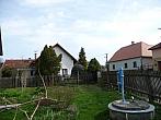 Třibřichy