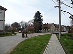 Třibřichy