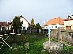 Třibřichy