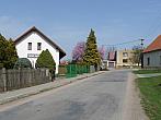 Třibřichy
