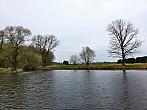 Vidov