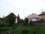 Třibřichy