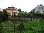 Třibřichy