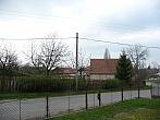 Třibřichy