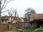 Třibřichy
