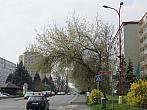 Neratovice