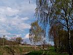 Jirkov