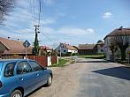 Třibřichy