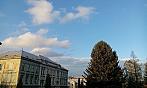 Varnsdorf