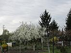 Neratovice