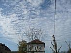 Třibřichy
