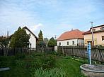 Třibřichy