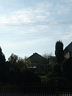 Třibřichy