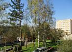 Borovina