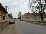 Třibřichy