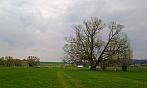 Humpolec