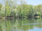 Neratovice