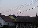 Třibřichy