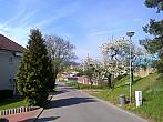 Borovina