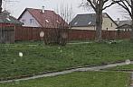 Toužim