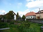 Třibřichy