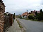 Třibřichy