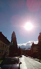 Varnsdorf