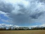 Vidov