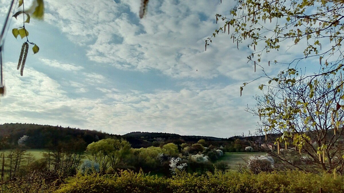 Habrovany