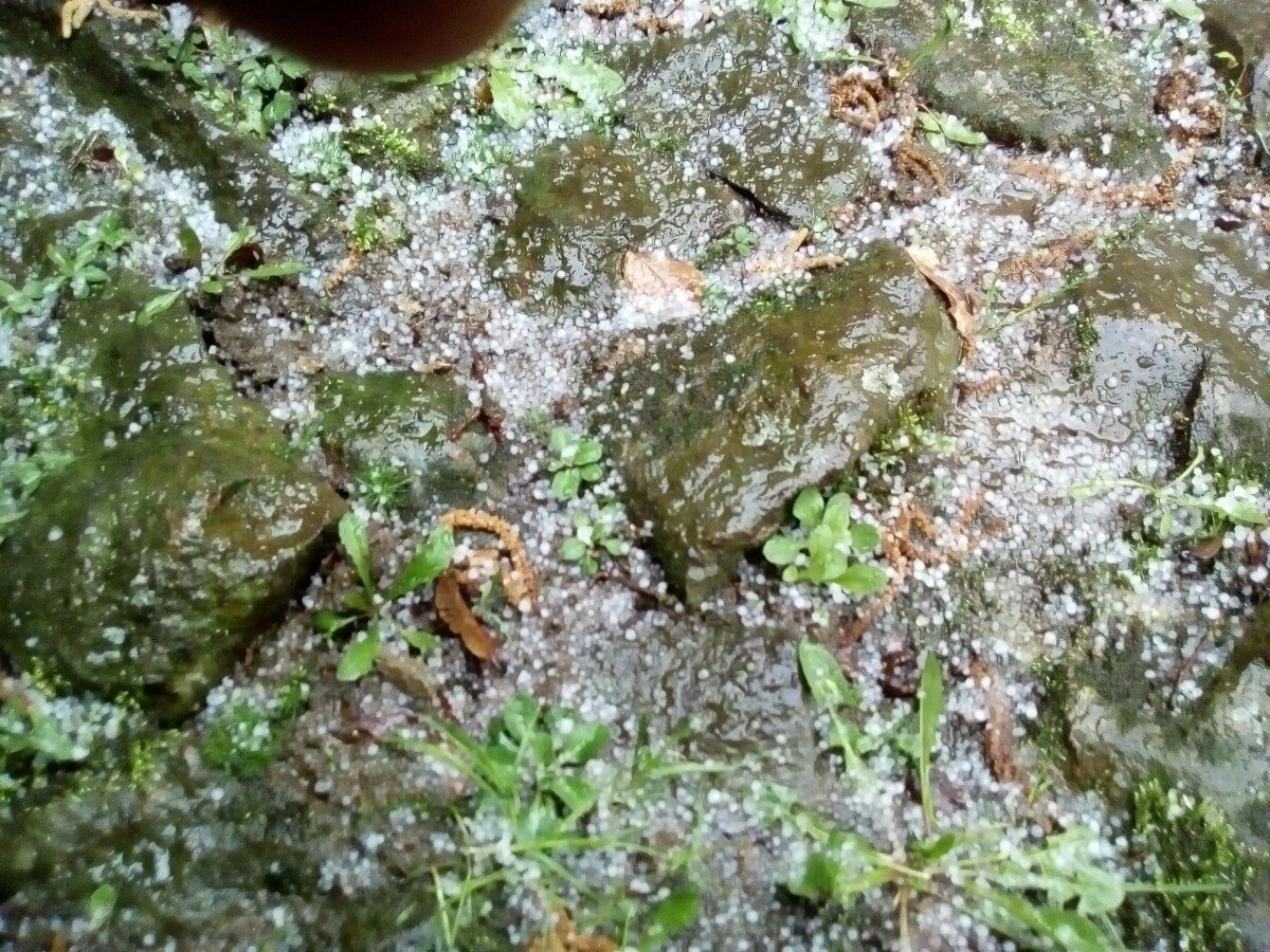 Radňov (Pelhřimov)