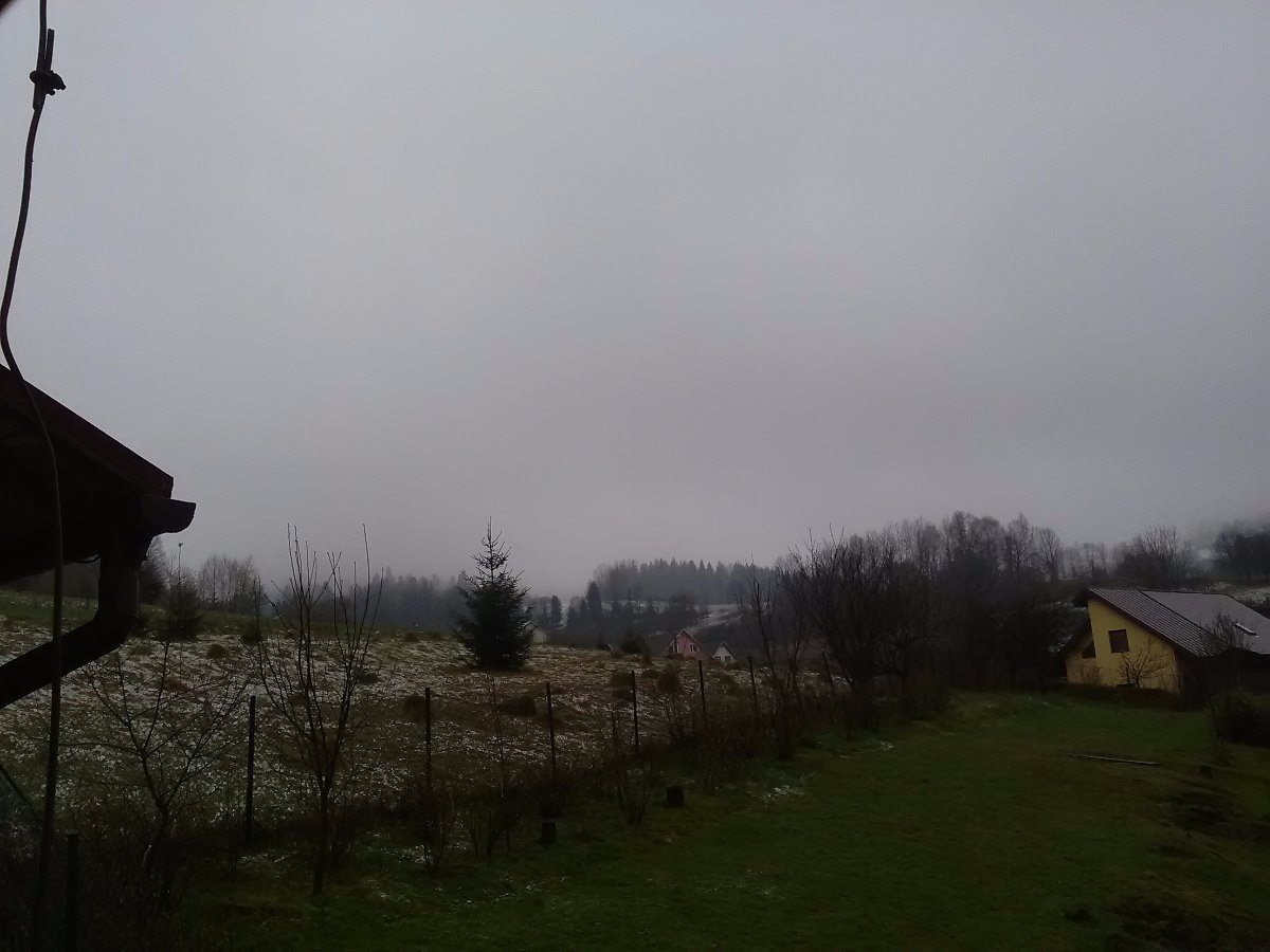 Skalité