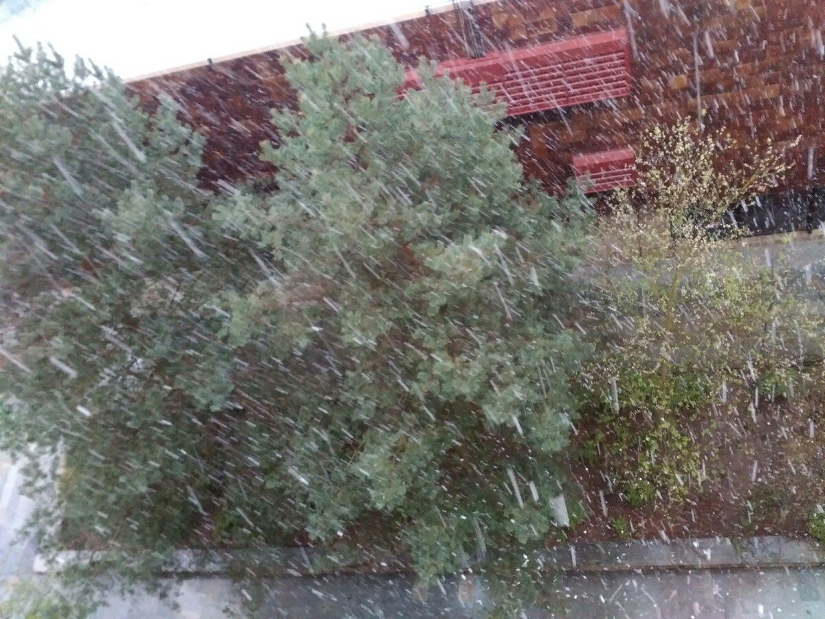 Týn nad Vltavou