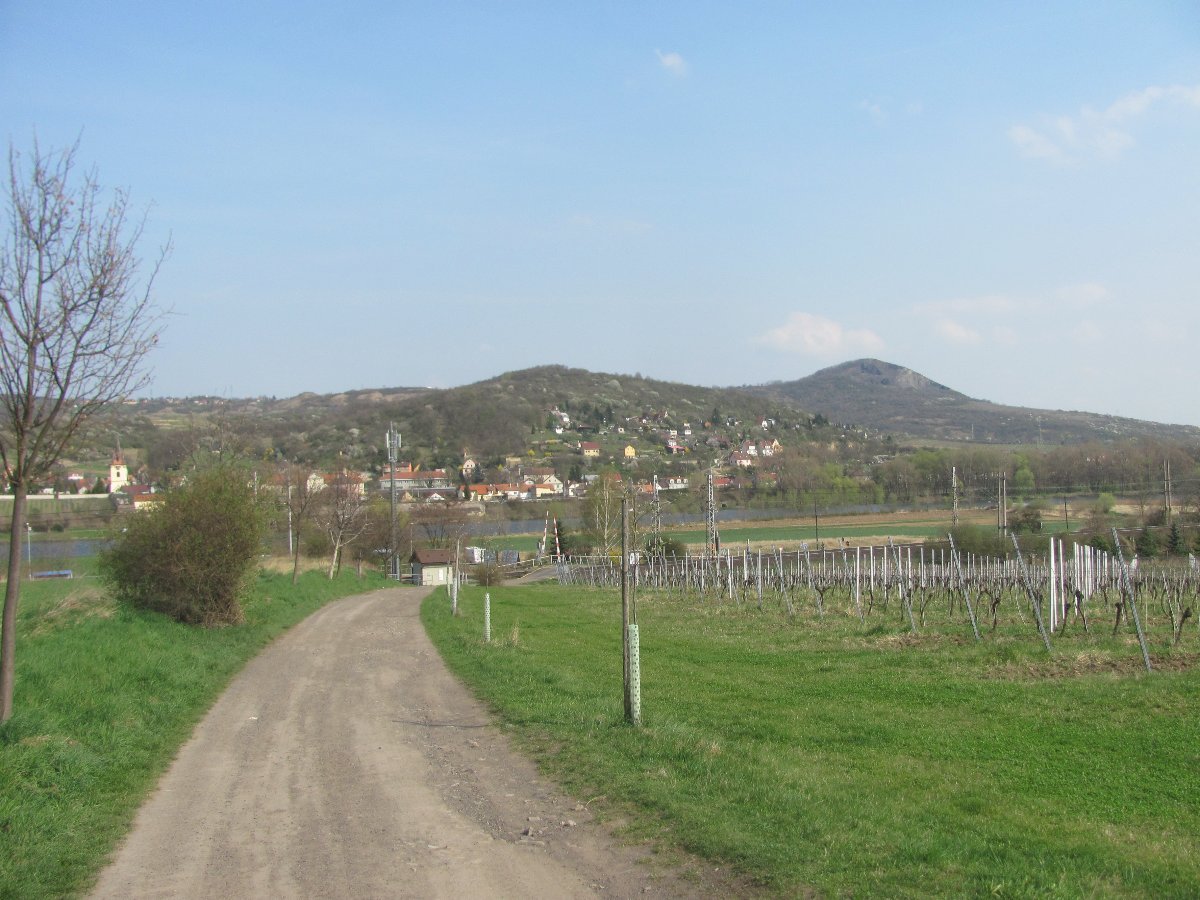 Podsedice